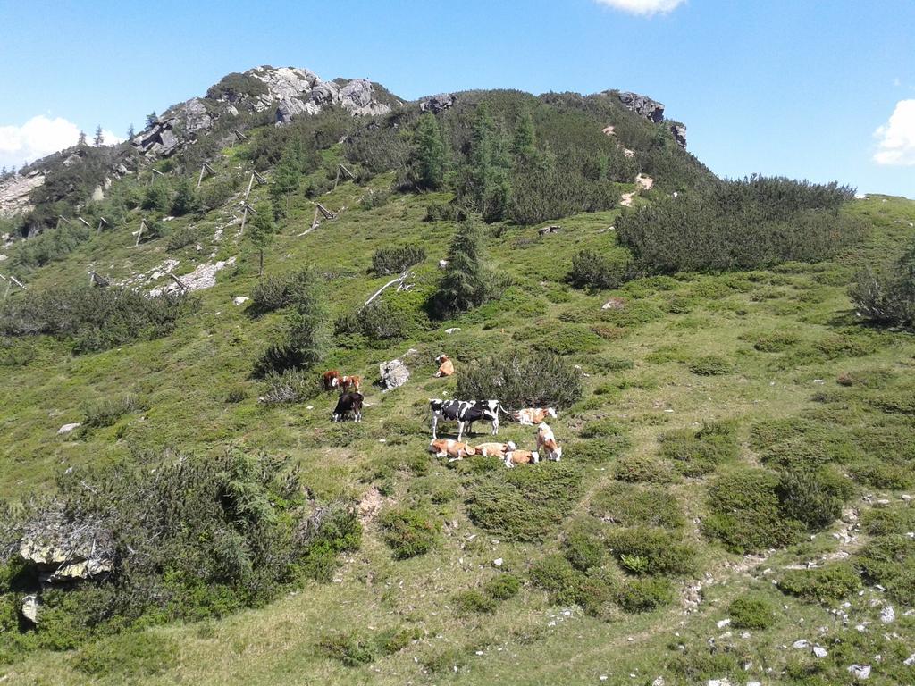 Alpenhotel Marcius Sonnenalpe Nassfeld Buitenkant foto